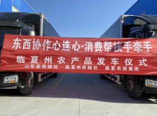 临夏J9.COM集团进杏装器材合作心连心·消费助扶手牵手”农产品发车典礼