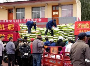 器材合作·真情助扶 济南市国资委、山东澳利集团公司（济南澳利新型肥料有限公司）为临夏州捐赠128吨有机肥料